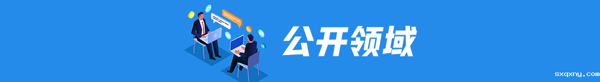 公开领域