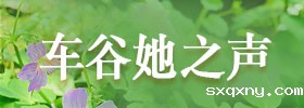 妇联动态