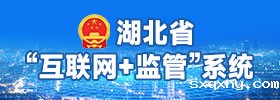 湖北省“互联网+监管”系统