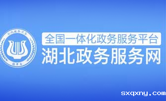 湖北政务服务网