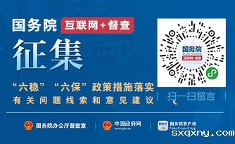 “六稳”“六保”政策措施落实有关问题线索和意见建议征集