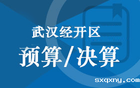 武汉经开区预算/决算